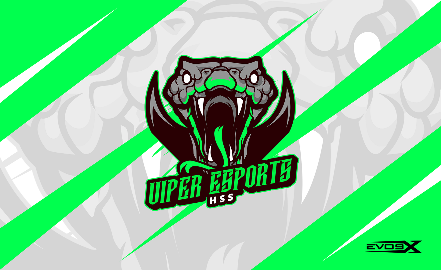 Viper Esports HSS Flag