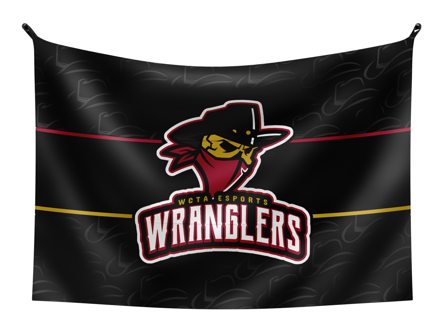 WCTA Esports Flag