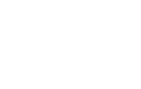 Vain Esports