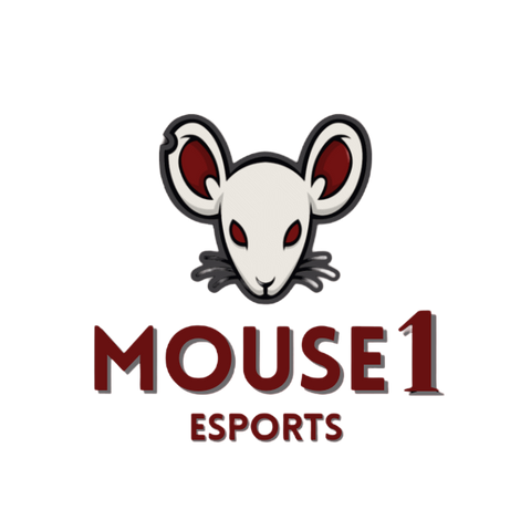 Mouse1 Esports