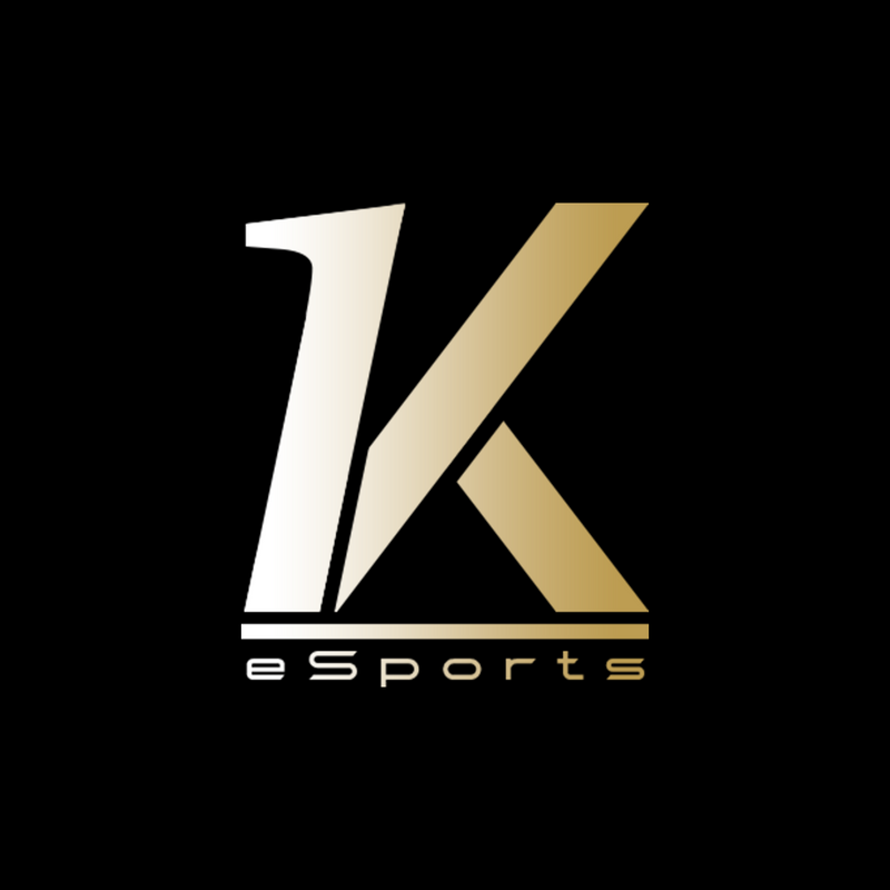 K1 ESPORTS