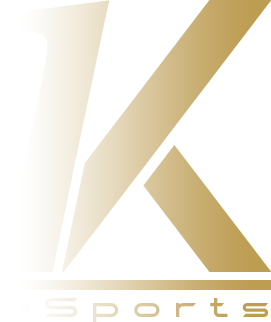 K1 ESPORTS