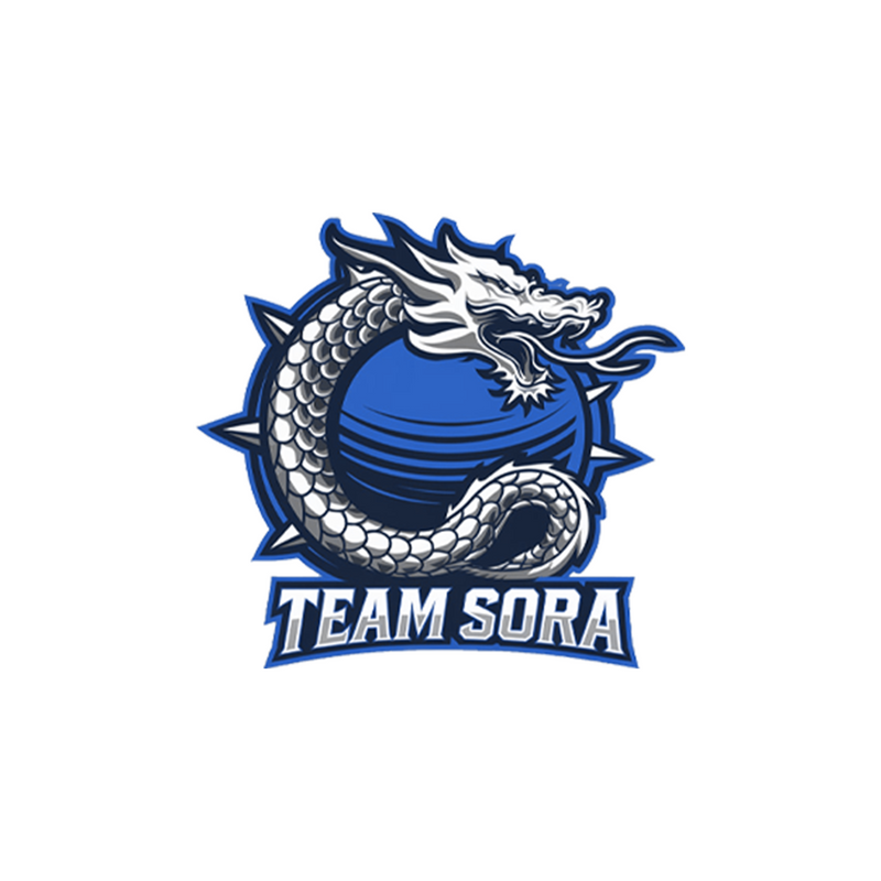 TEAM SORA