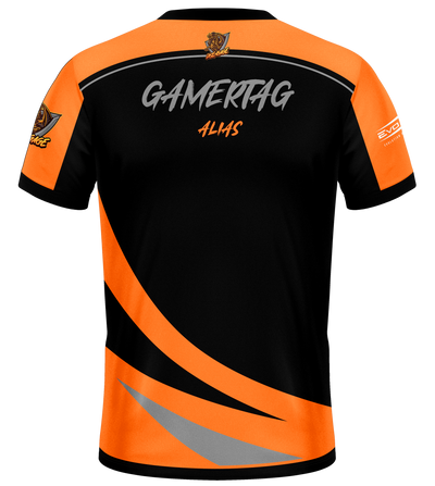 Disengage Pro Jersey v1