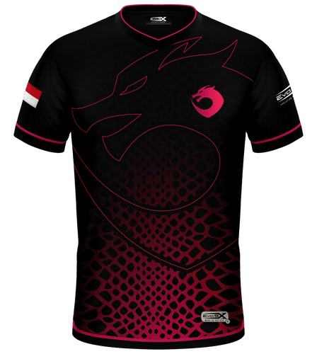 Eleventh Day Esports Premium Jersey 2k24