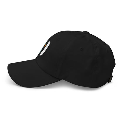 Unity Gaming Unisex Dad hat