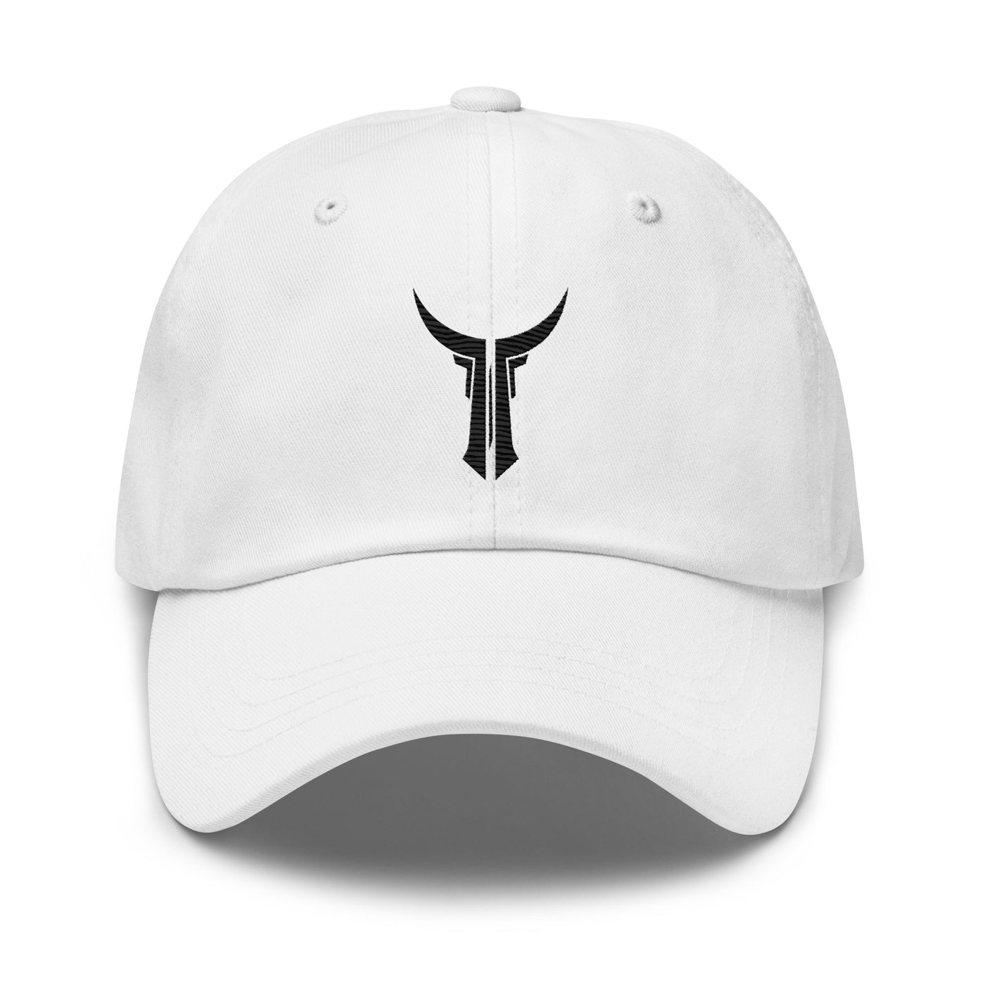 Titan Unisex Classic Dad hat