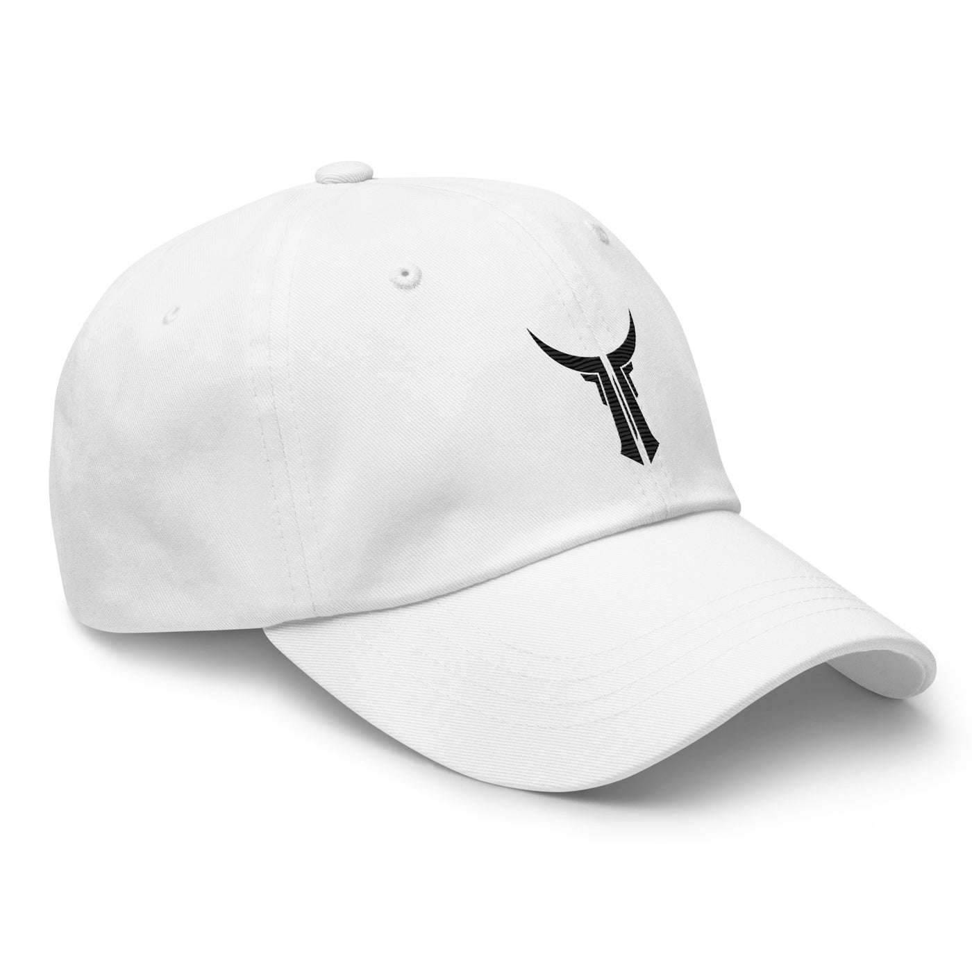 Titan Unisex Classic Dad hat