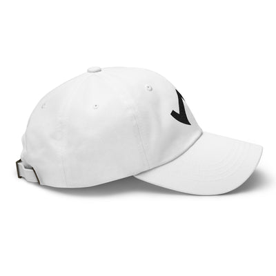 Ascent Reality Esports Unisex Dad hat