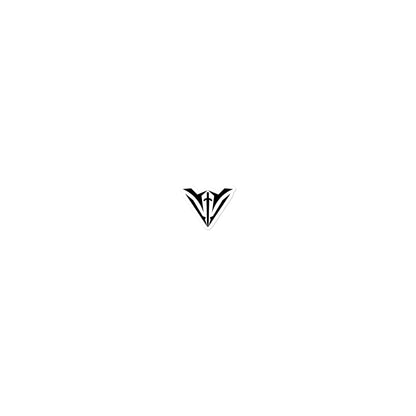 Valor Esports Bubble-free stickers