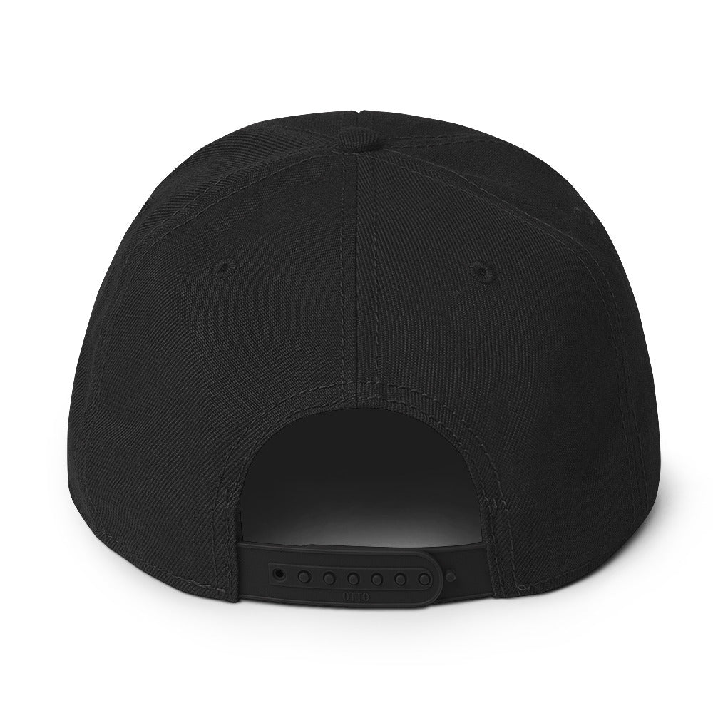 Louisiana Steamers Esports Snapback Hat