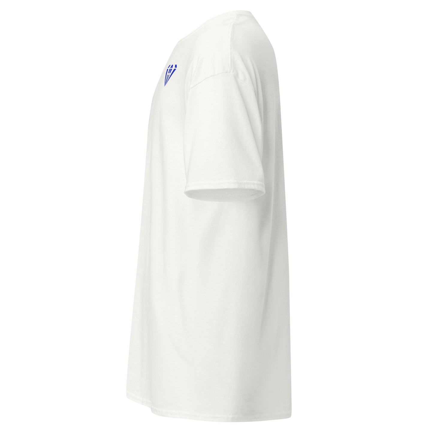 Flawless Esports Unisex T-Shirt