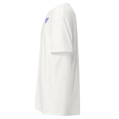 Flawless Esports Unisex T-Shirt