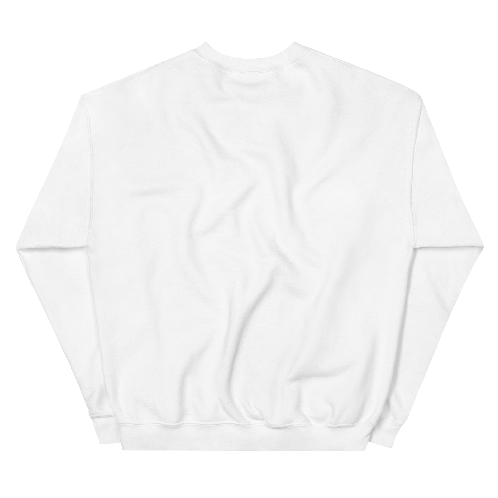 Denver Night Wings Esports Unisex Crew Neck Sweater