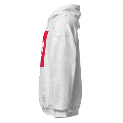 MAVREK ESPORTS UNISEX HOODIE