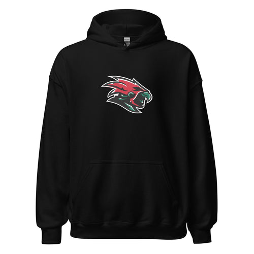 Mexico City Unisex Hoodie