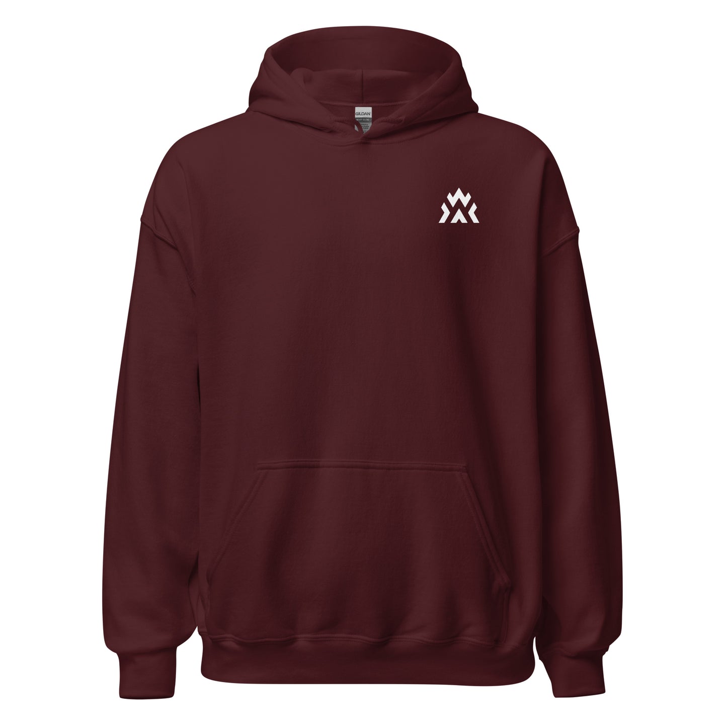 Assume Region Esports Unisex Hoodie