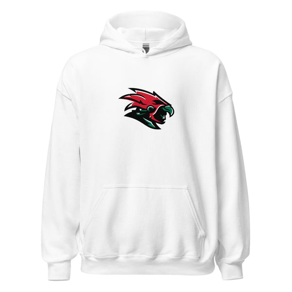 Mexico City Unisex Hoodie