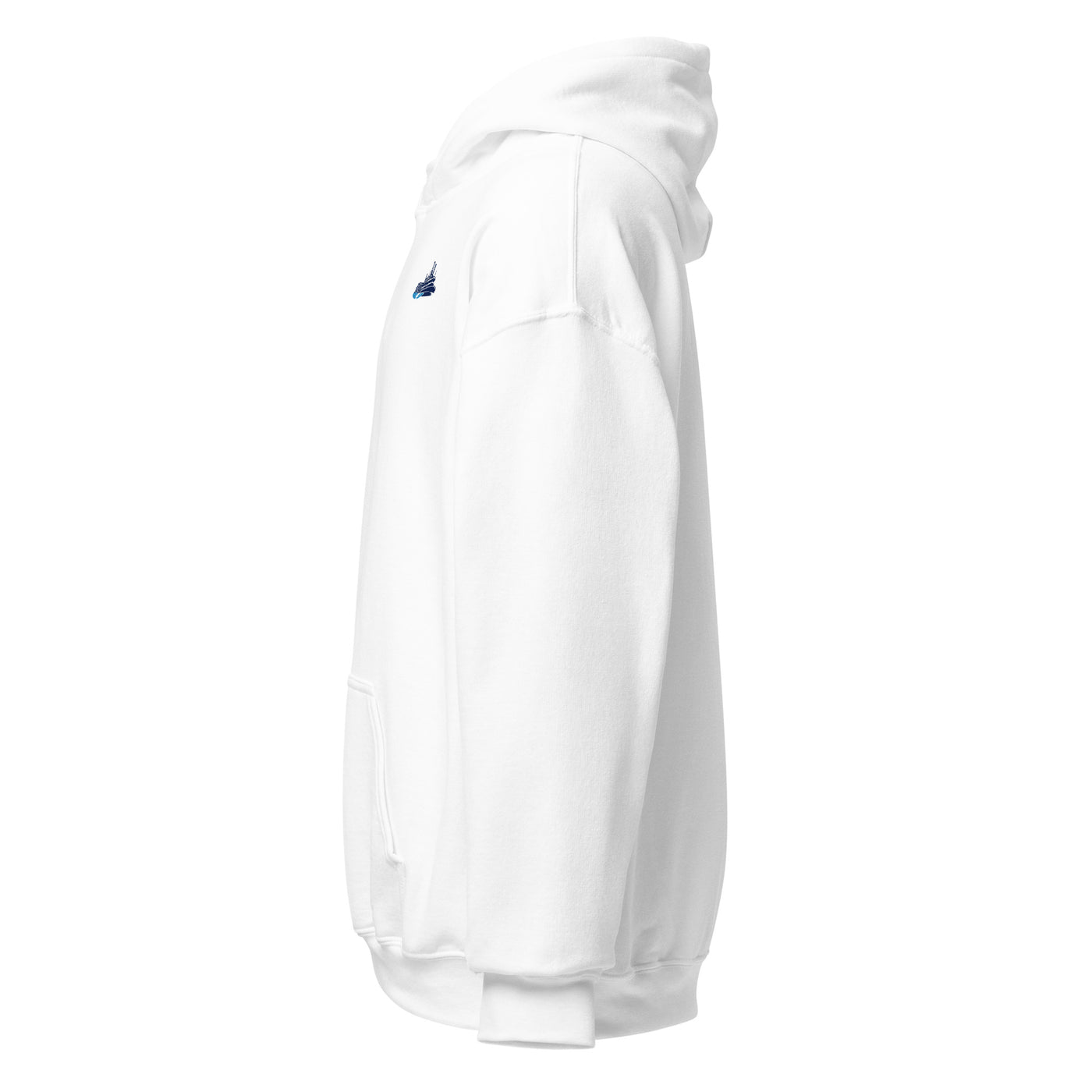Louisiana Steamers Esports Unisex Hoodie