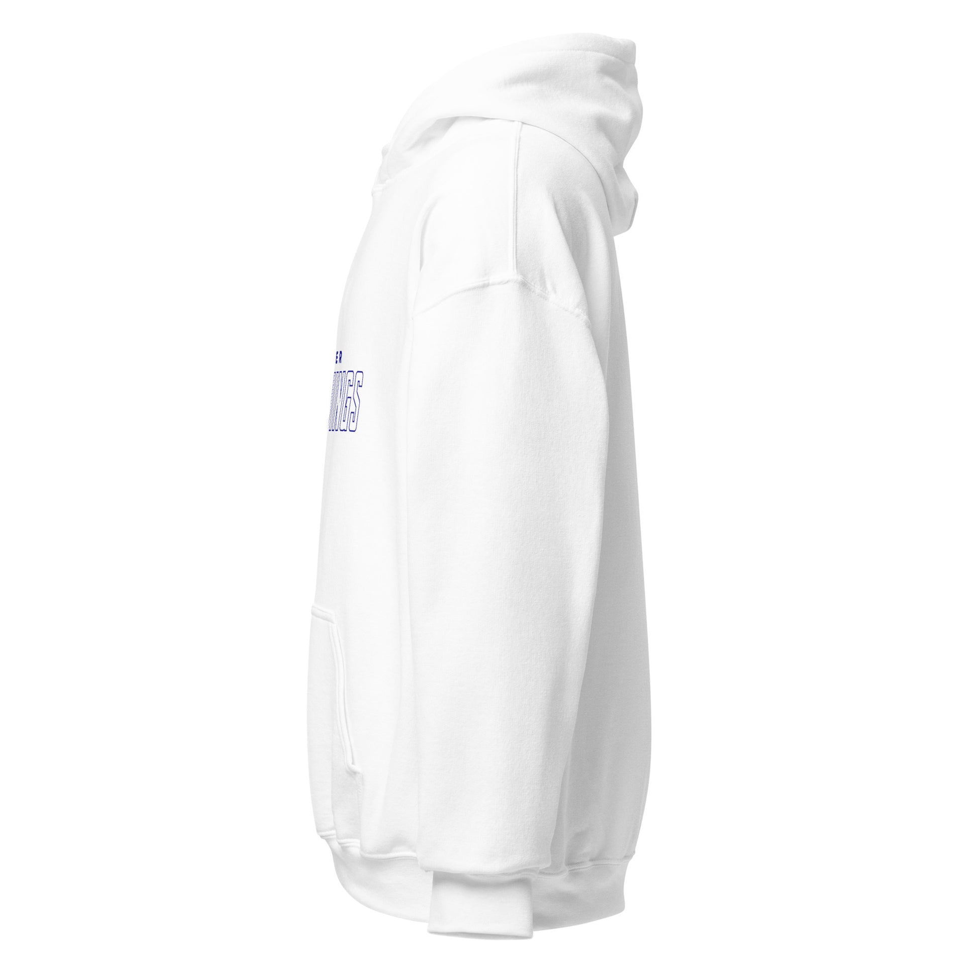 Denver Night Wings Esports Unisex Hoodie