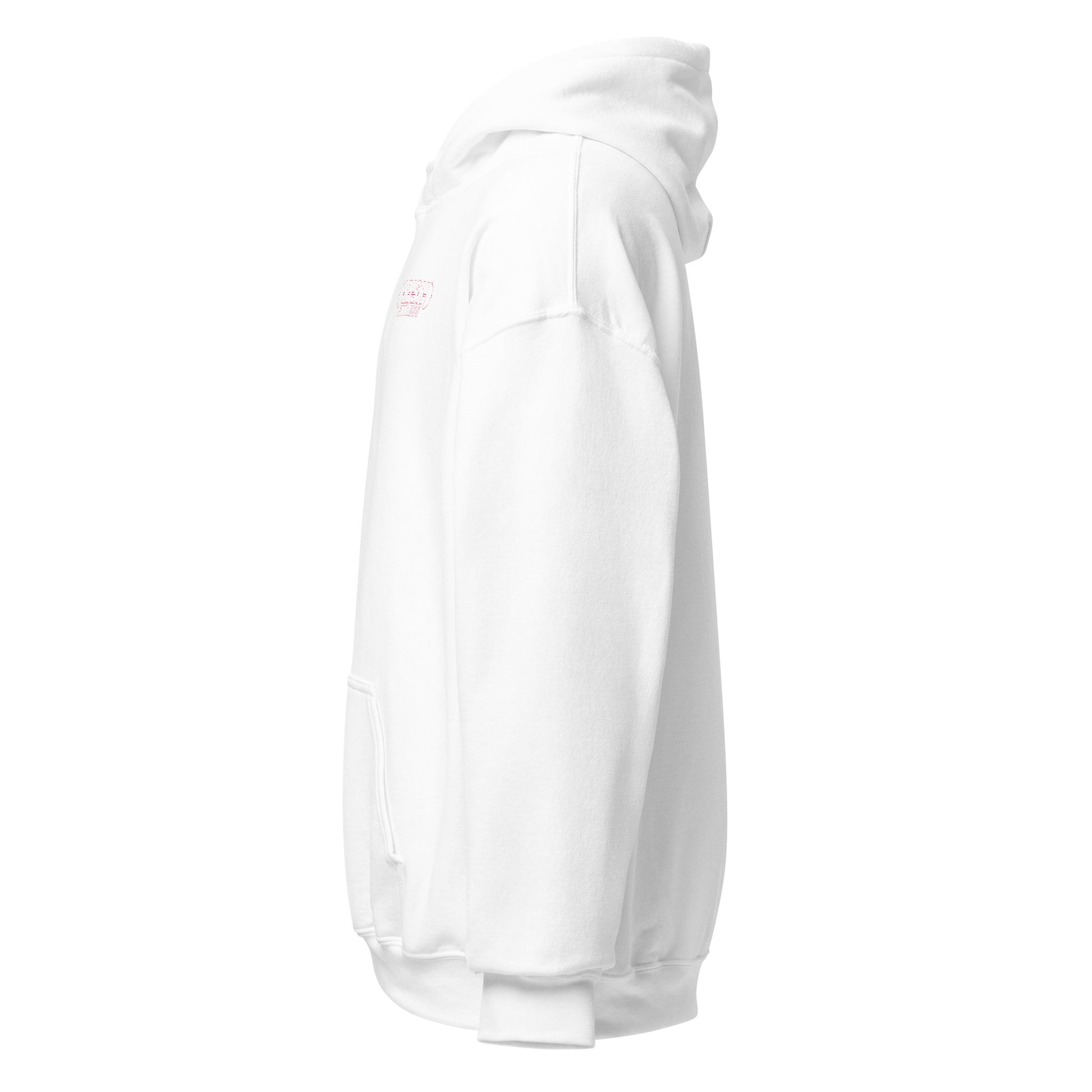 Risk Fitness Esports Unisex Hoodie