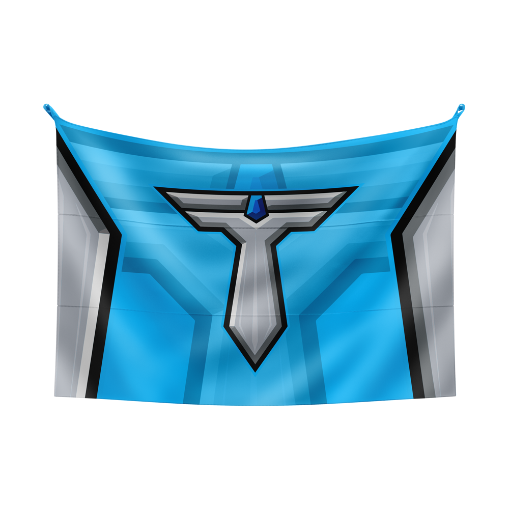 TempZ Gaming Flag