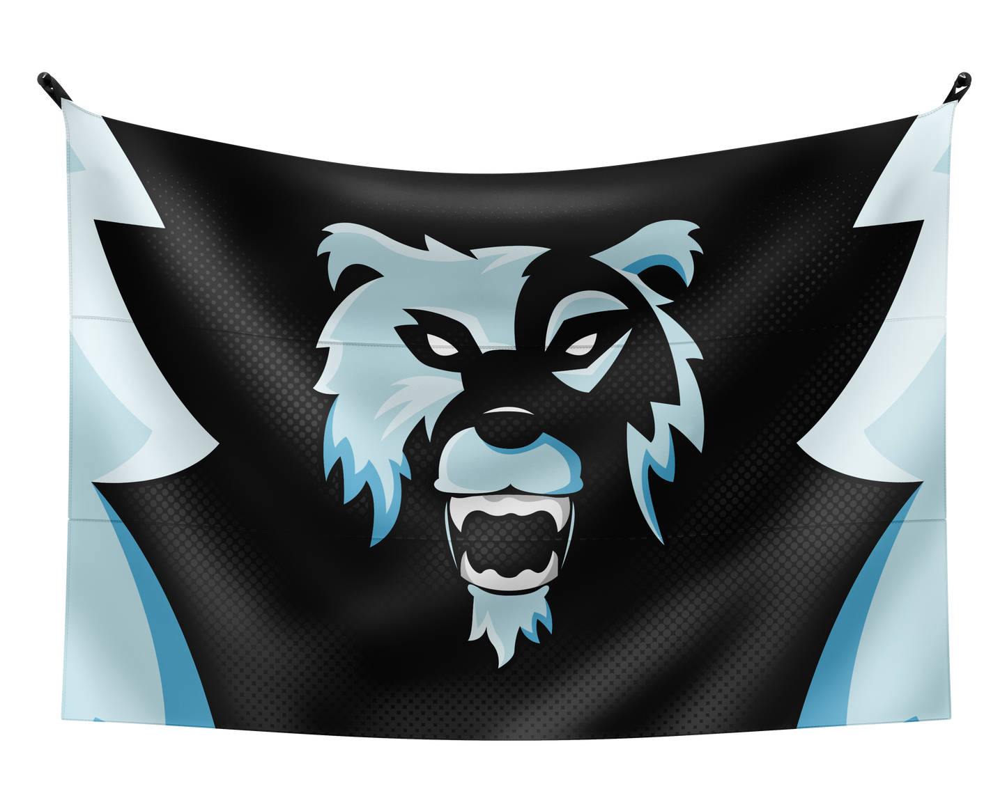 Hc eSports Flag