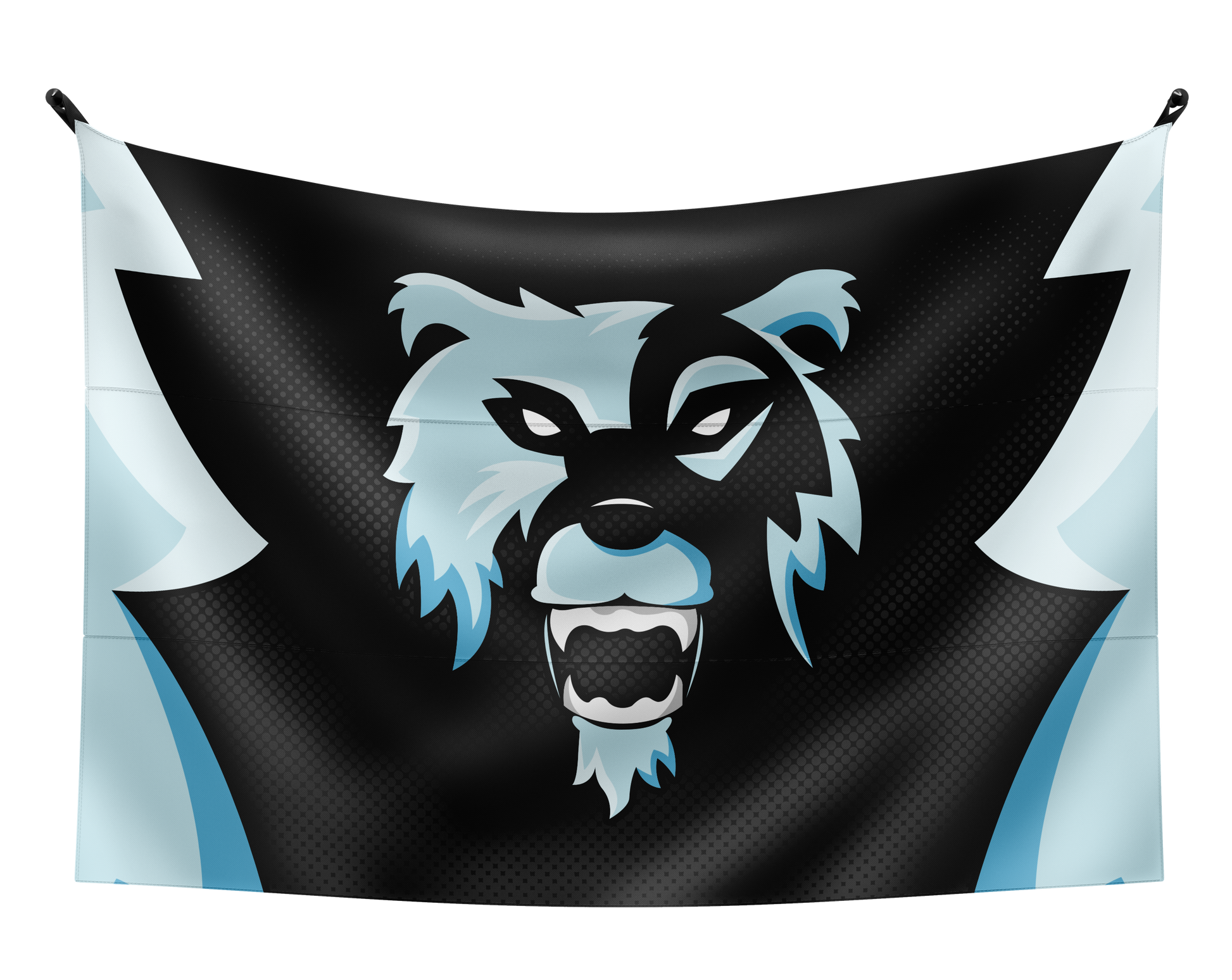 Hc eSports Flag