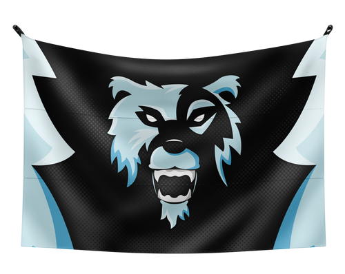 Hc eSports Flag