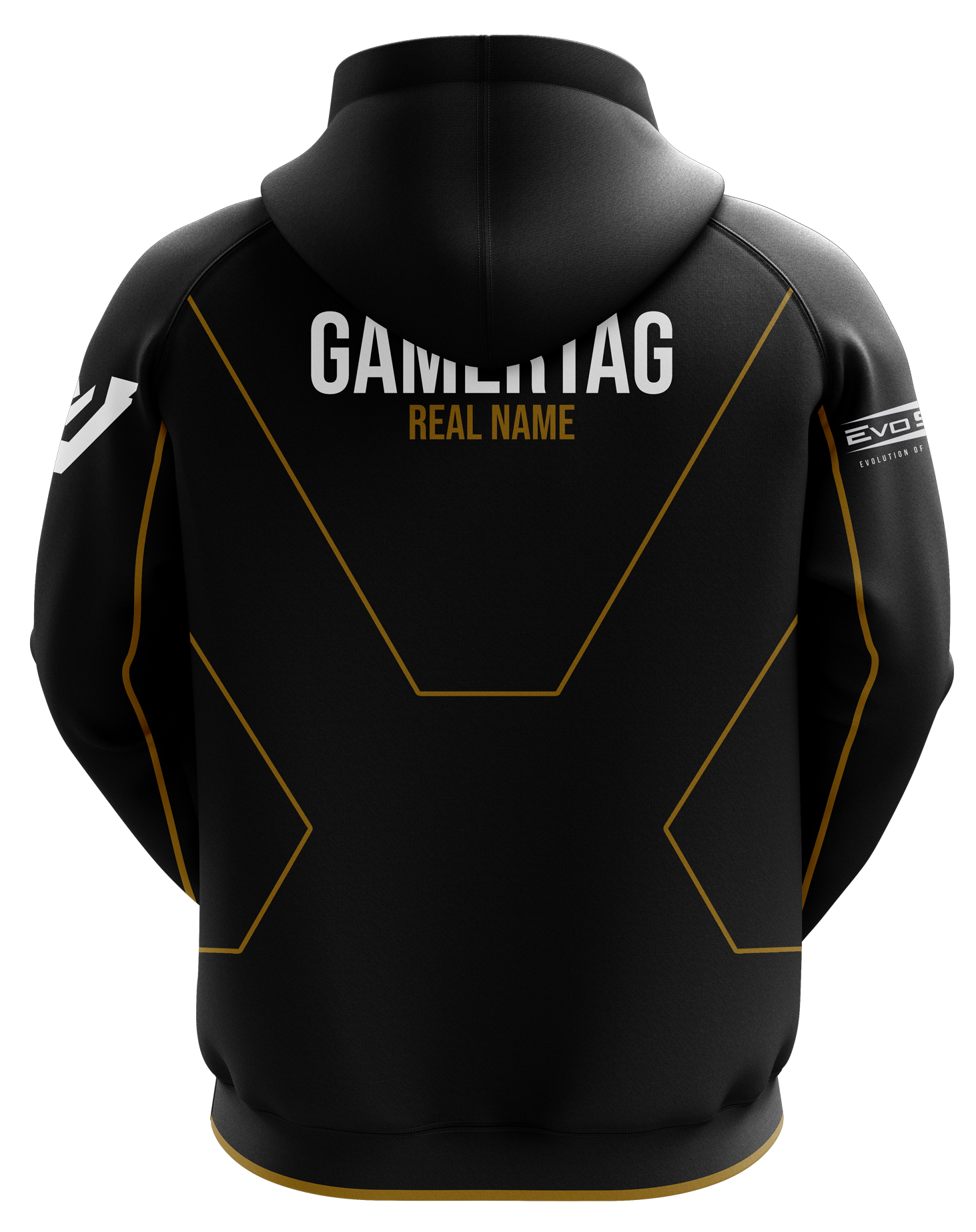 Team Vitreous Pro Hoodie