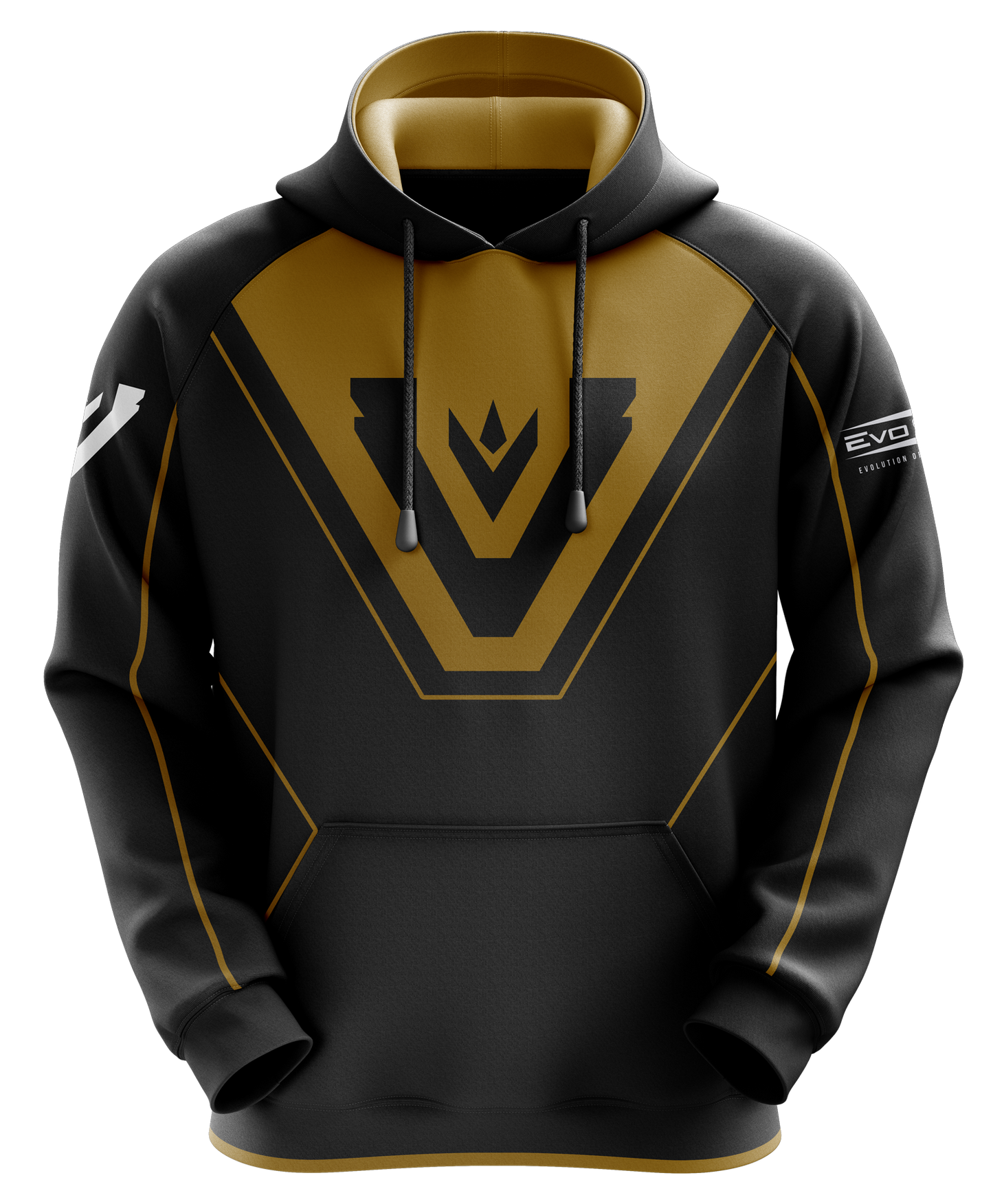 Team Vitreous Pro Hoodie