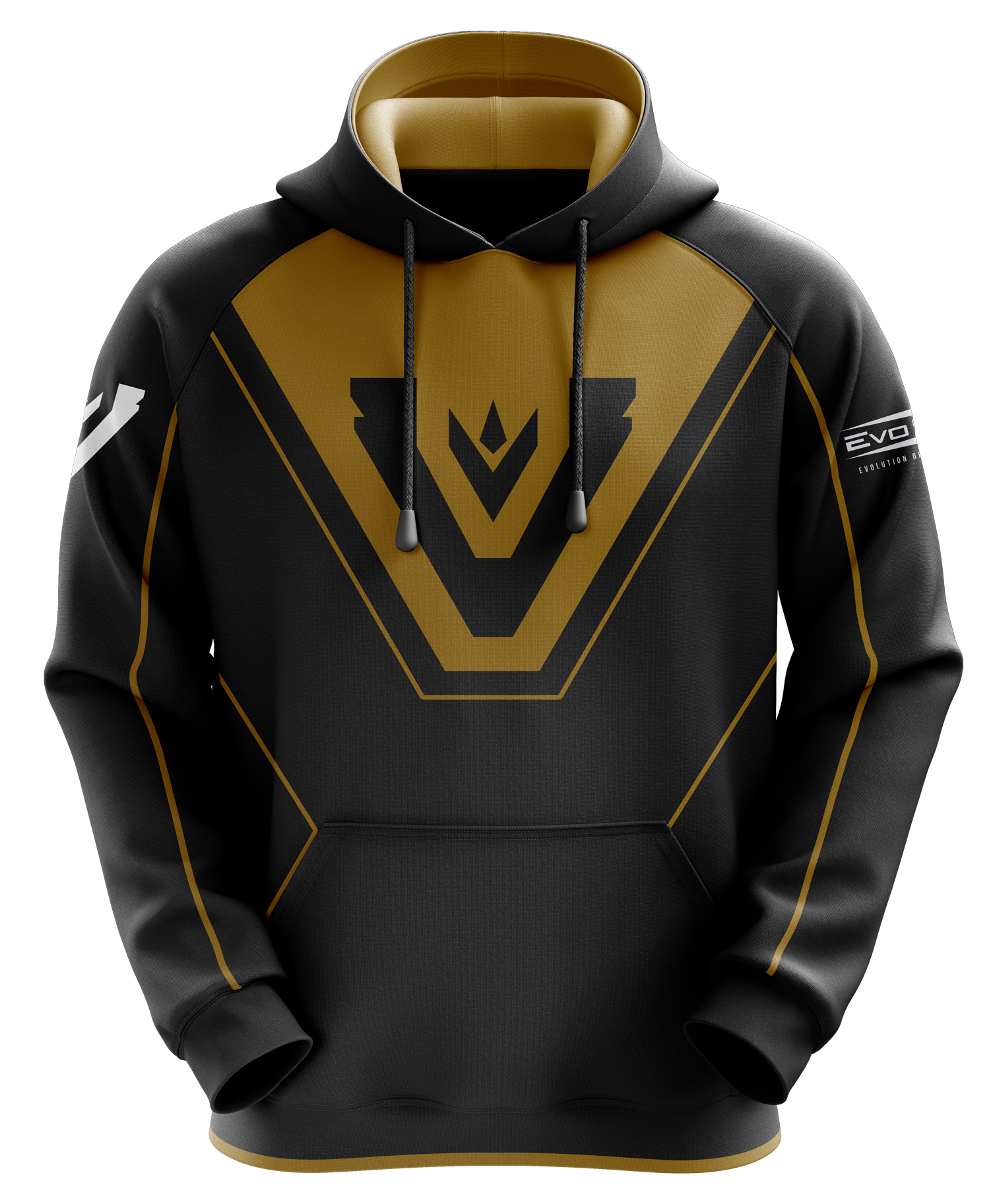 Team Vitreous Pro Hoodie