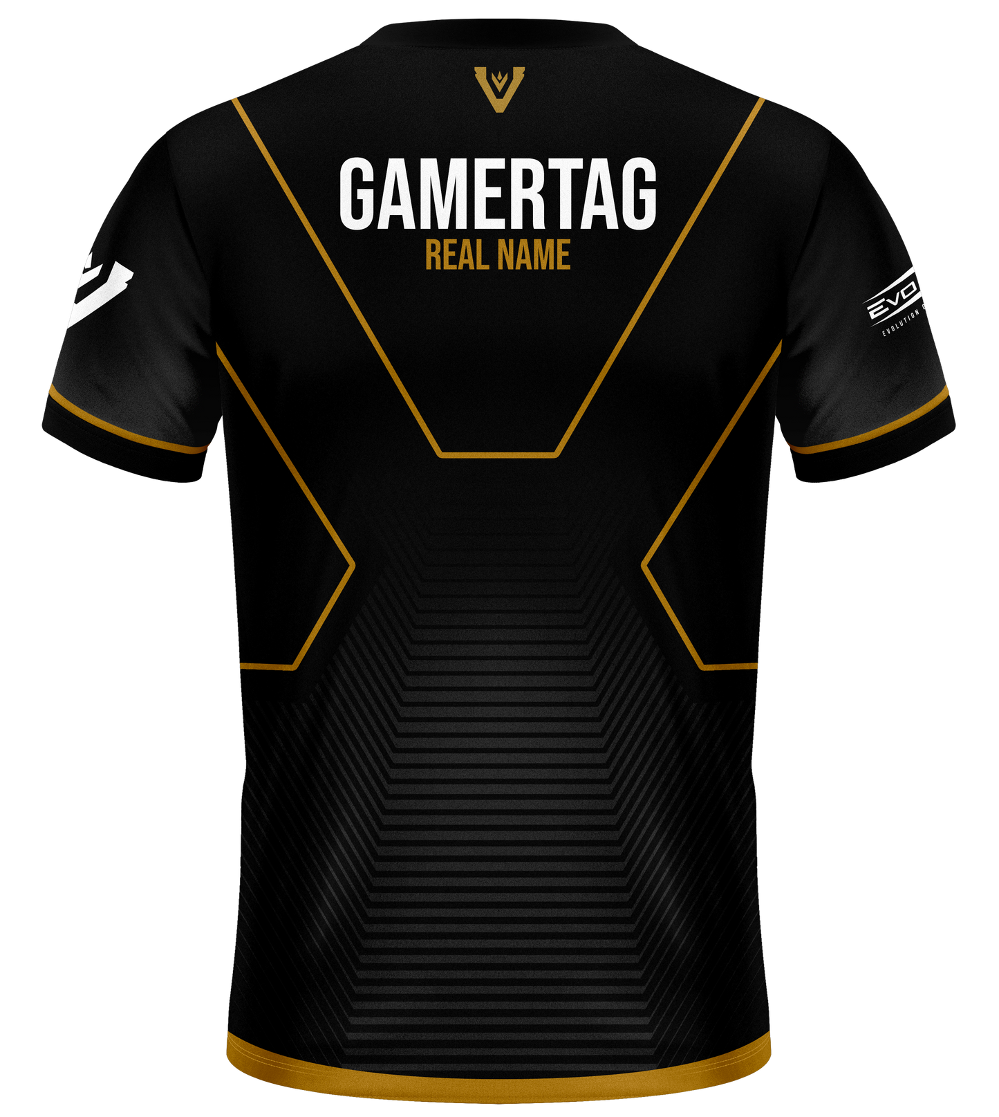 Team Vitreous Pro Jersey