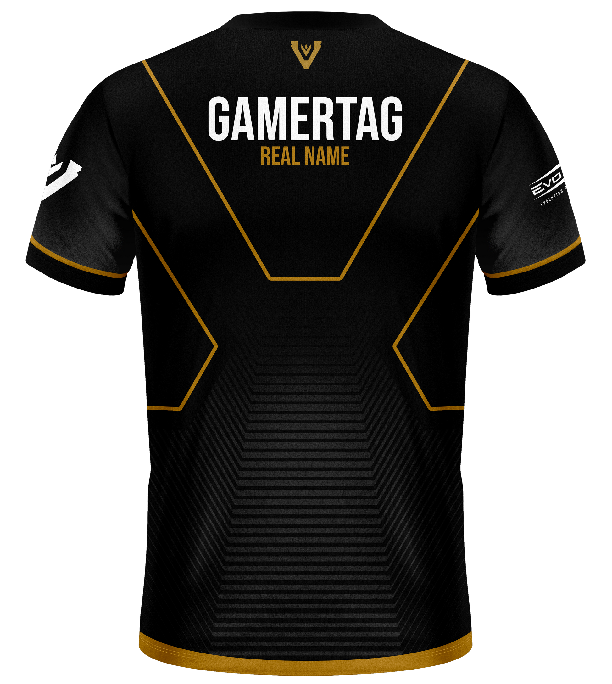 Team Vitreous Pro Jersey
