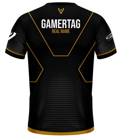 Team Vitreous Pro Jersey