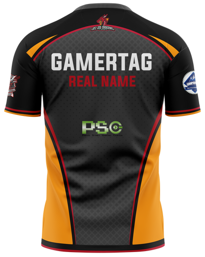 DSA Esports Pro Jersey