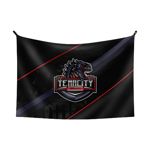 Tenacity Esports Flag
