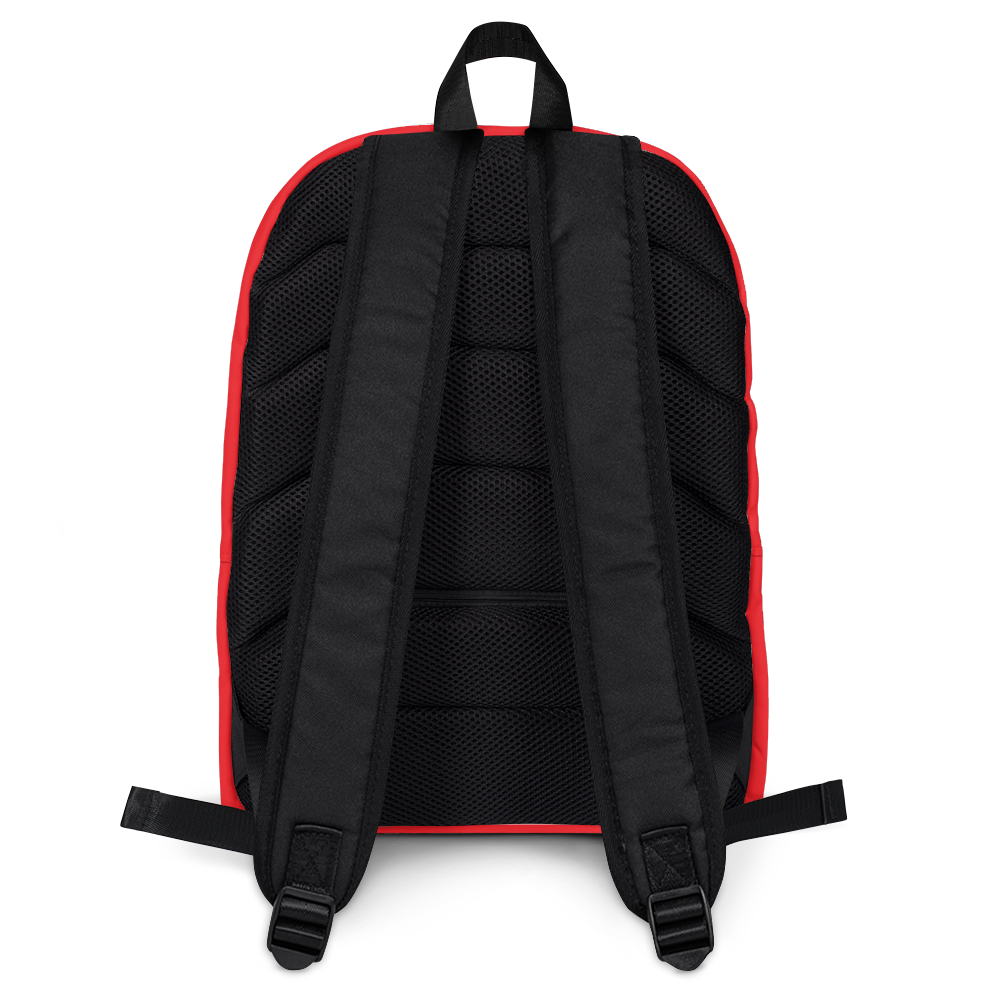 Gtrix Backpack