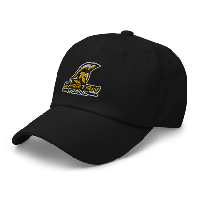 Spartan Gaming Dad hat