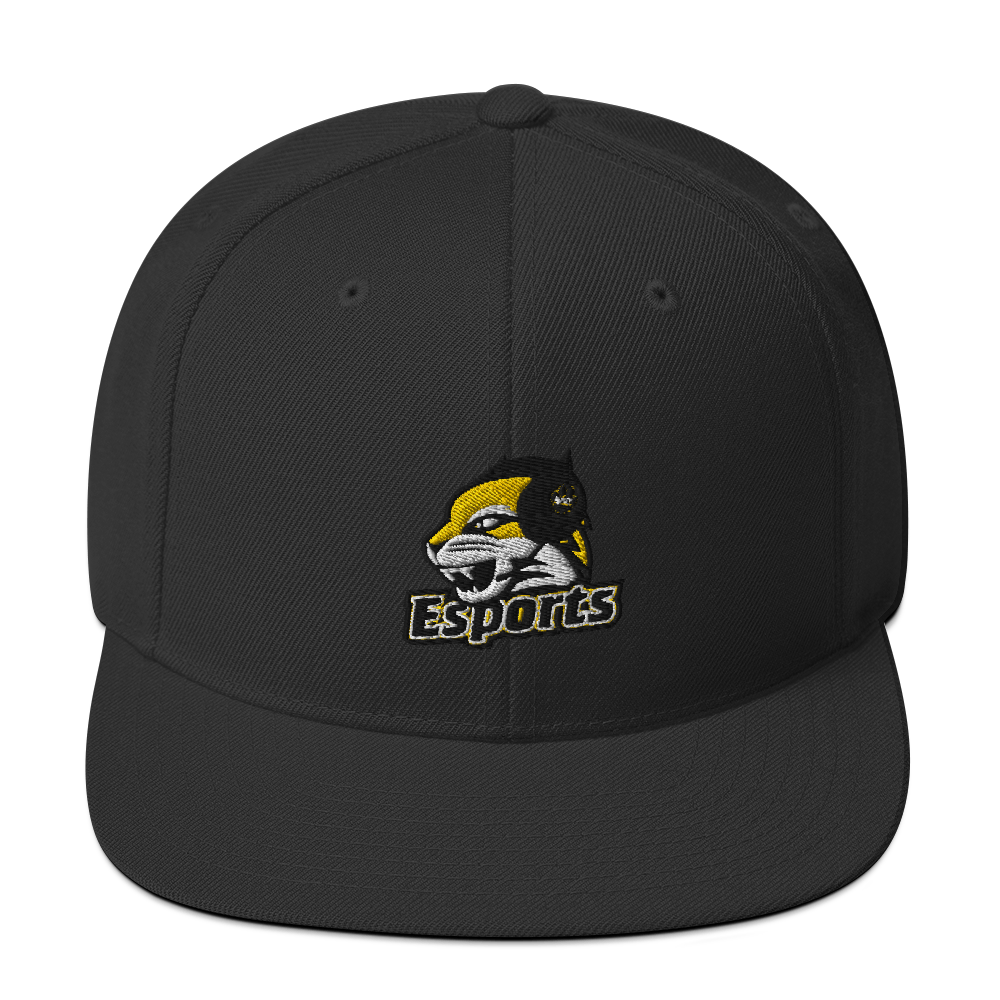 WSC Esports Snapback Hat