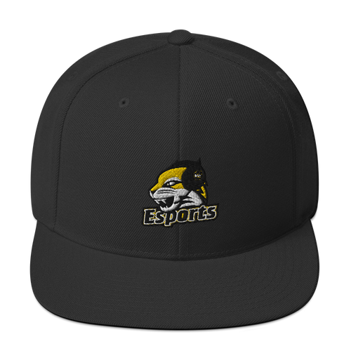 WSC Esports Snapback Hat