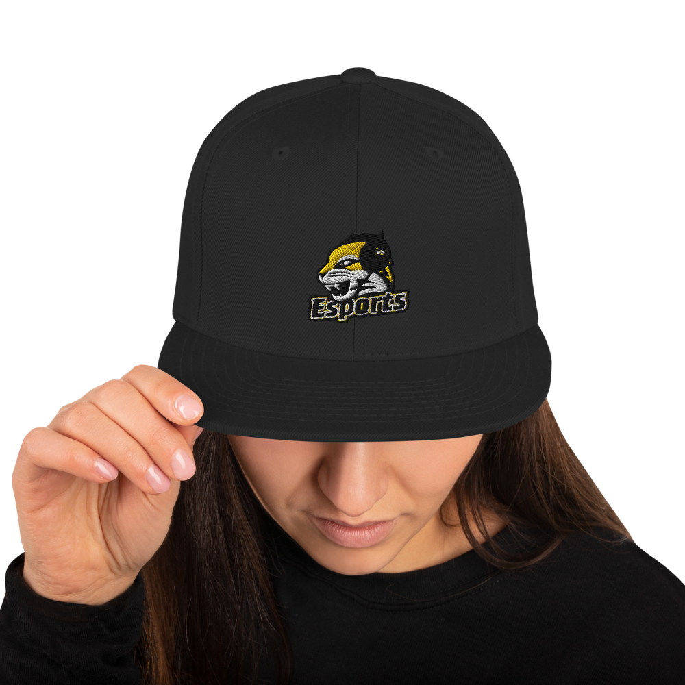 WSC Esports Snapback Hat