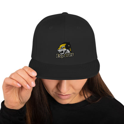 WSC Esports Snapback Hat