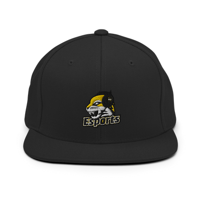 WSC Esports Snapback Hat