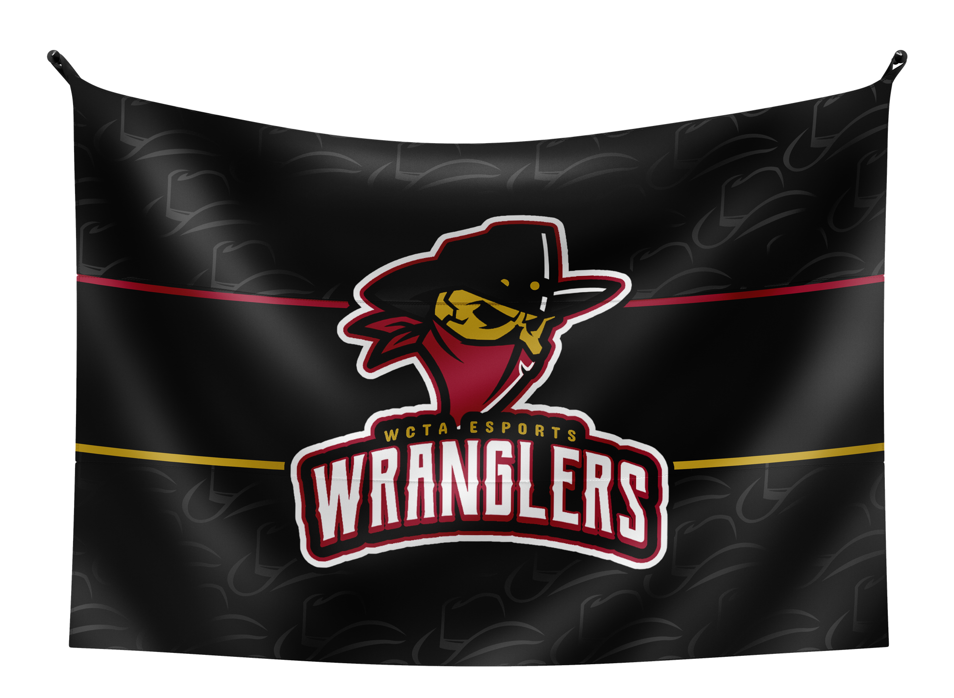 WCTA Esports Flag