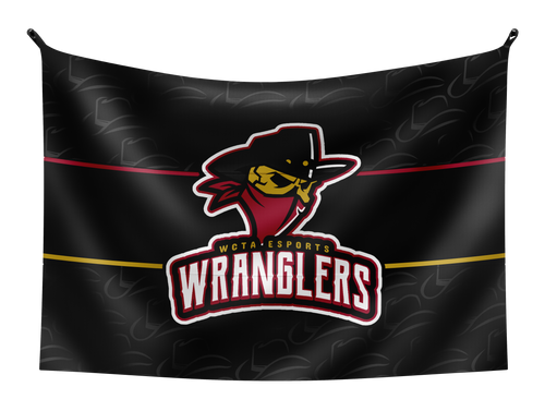 WCTA Esports Flag