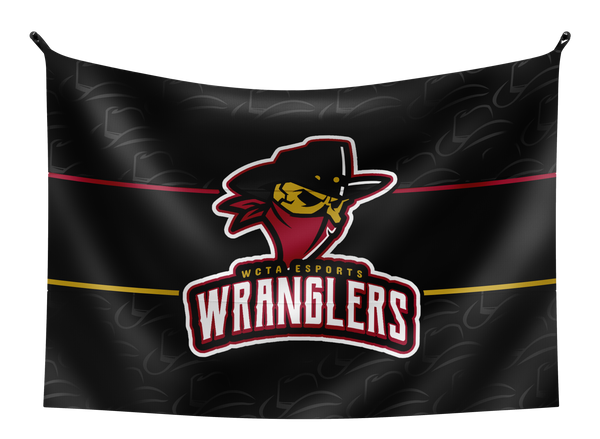 WCTA Esports Flag