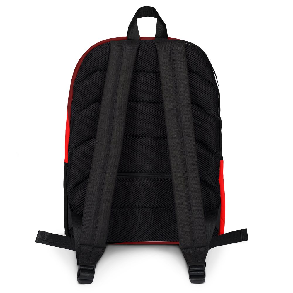 DRI Backpack