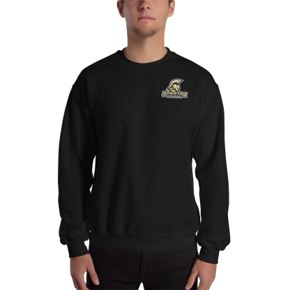 Spartan Gaming Unisex Sweatshirt